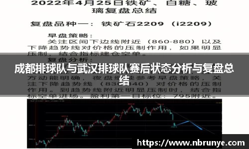 成都排球队与武汉排球队赛后状态分析与复盘总结