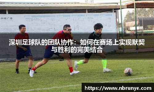 深圳足球队的团队协作：如何在赛场上实现默契与胜利的完美结合